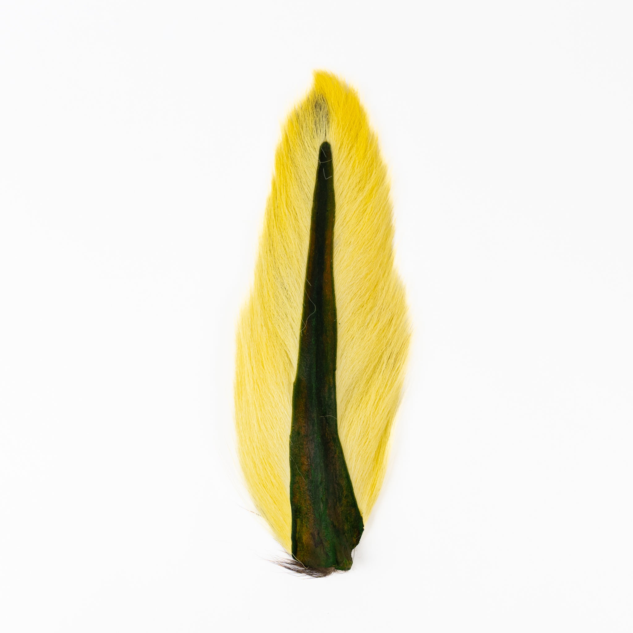 Ellis Ward Bucktail