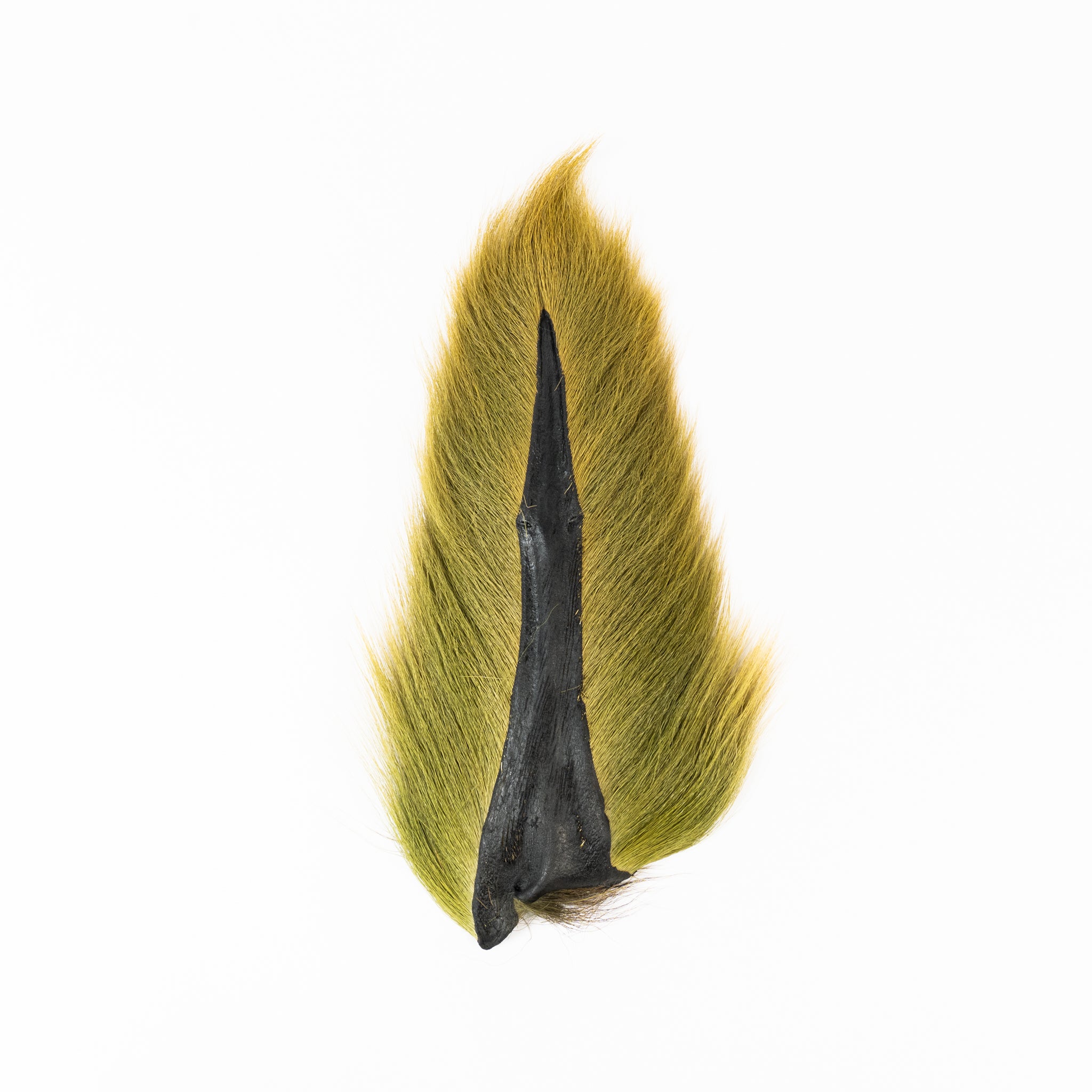 Ellis Ward Bucktail