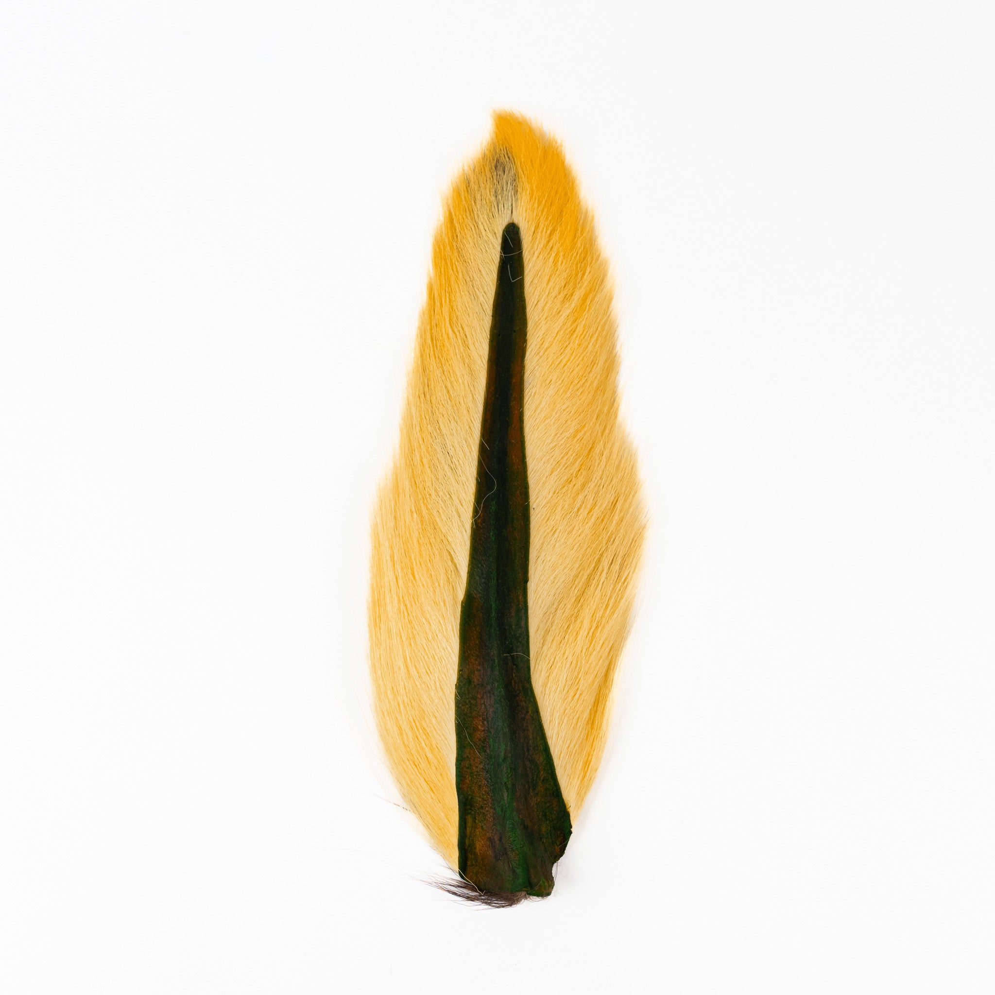 Ellis Ward Bucktail