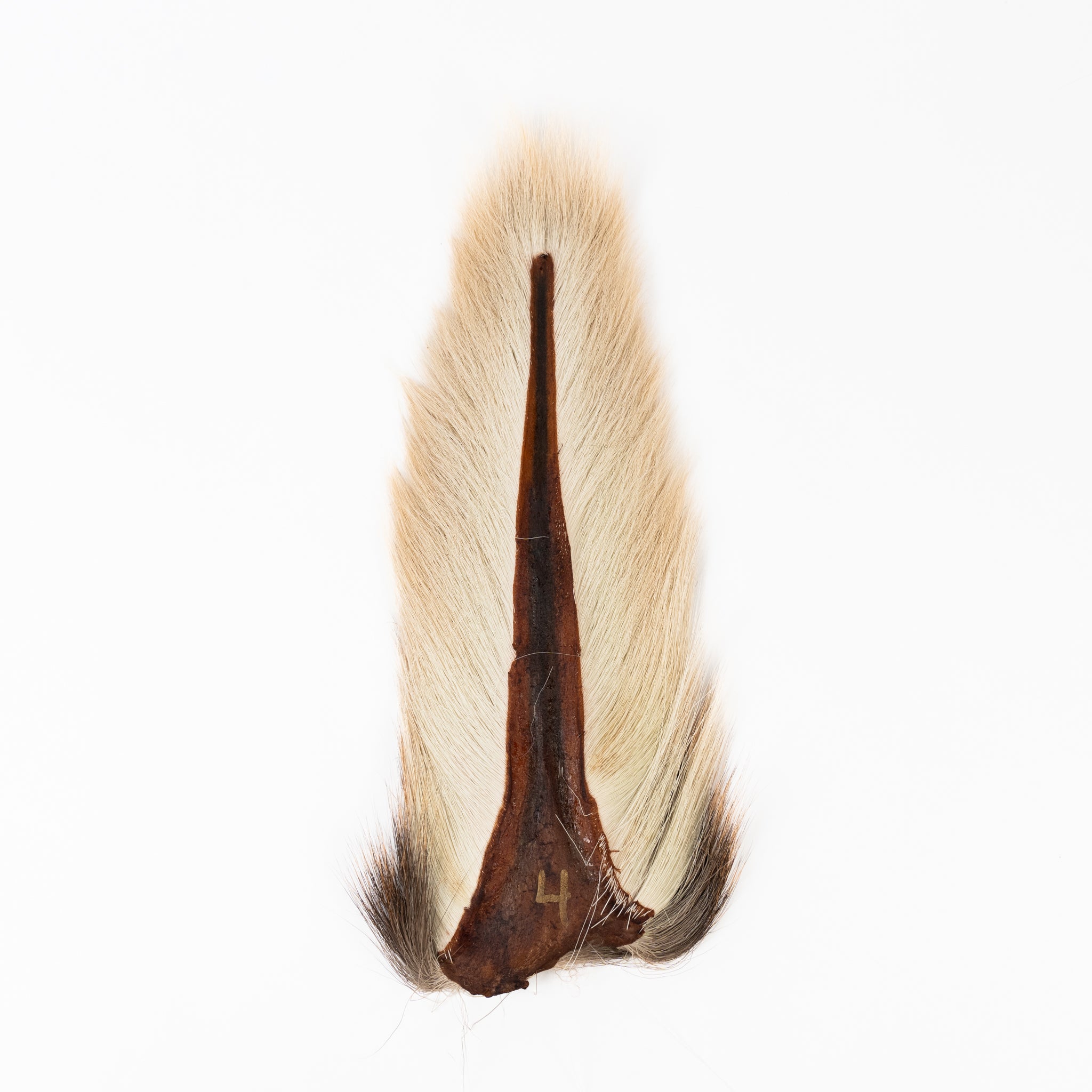 Ellis Ward Bucktail