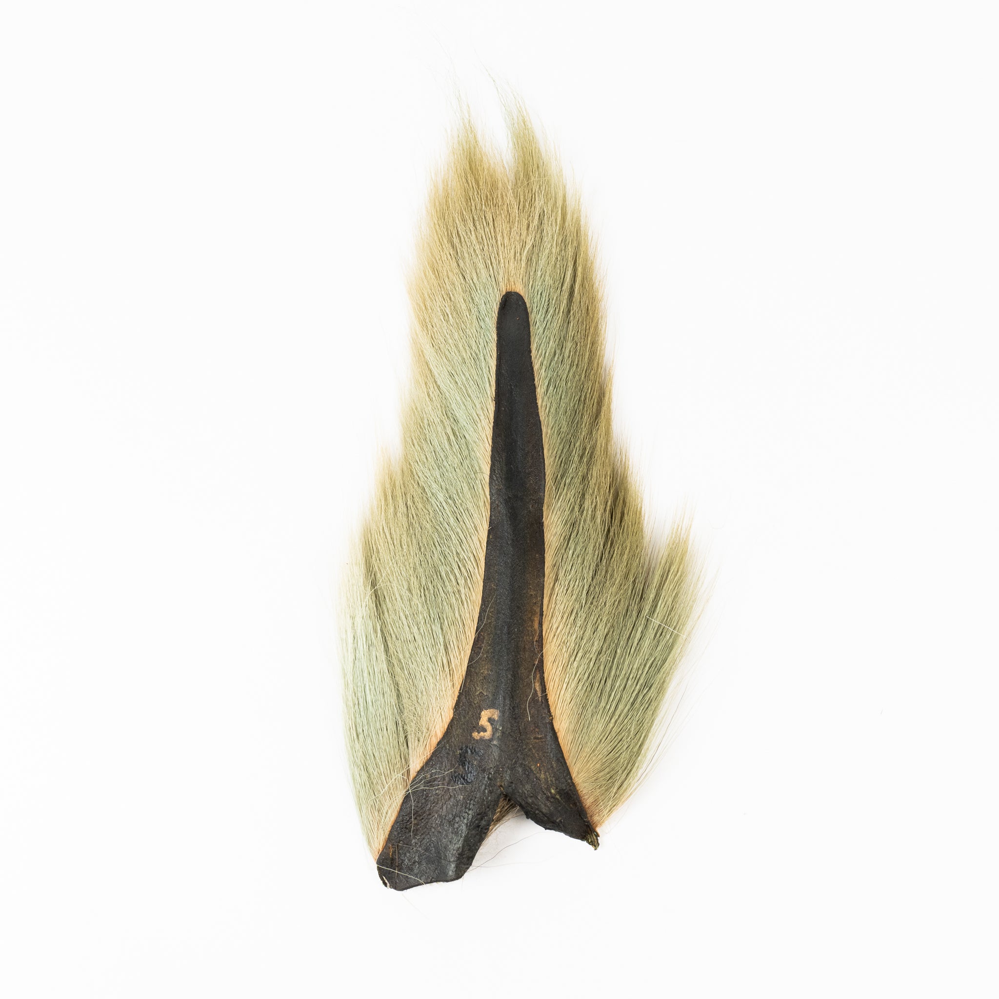 Ellis Ward Bucktail