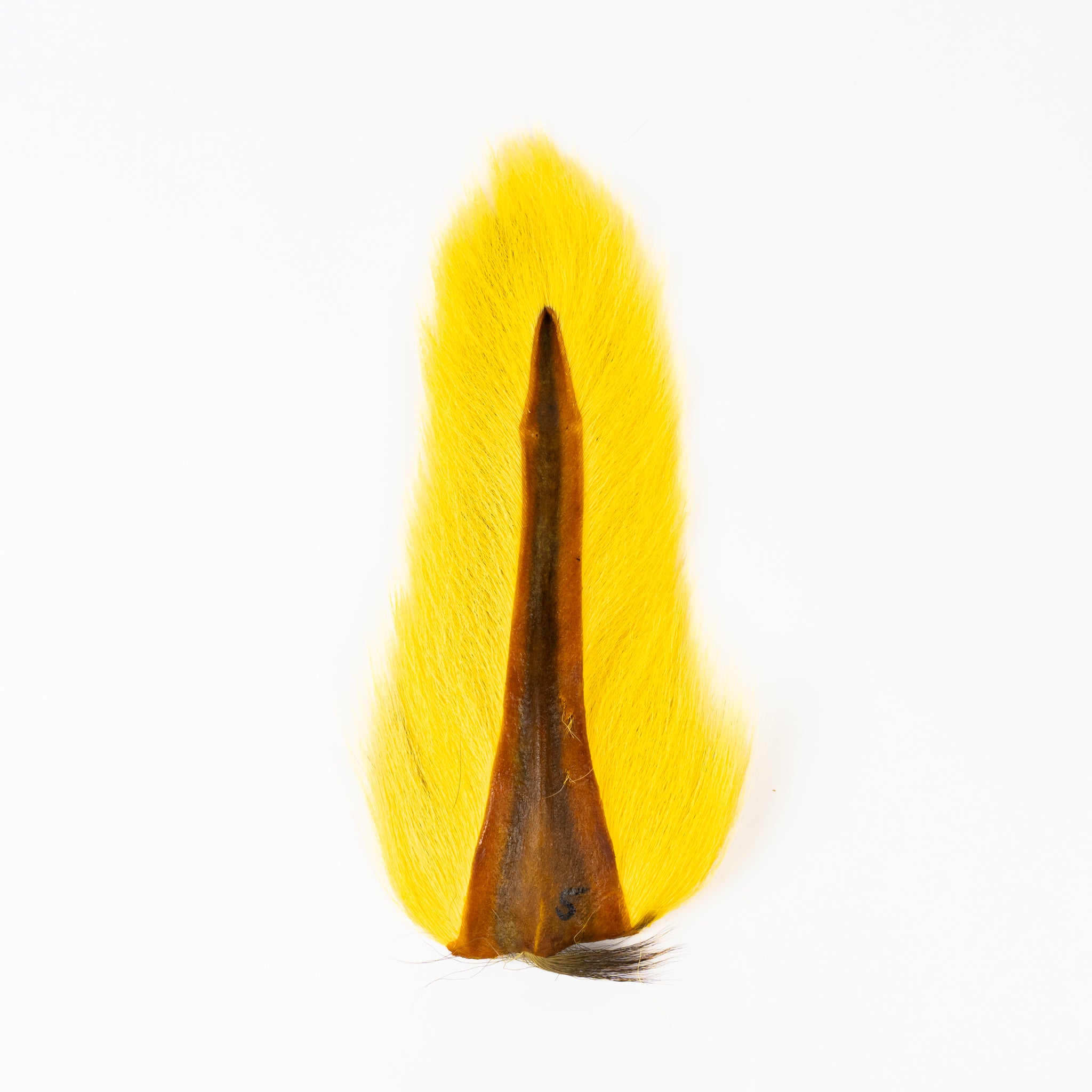 Ellis Ward Bucktail