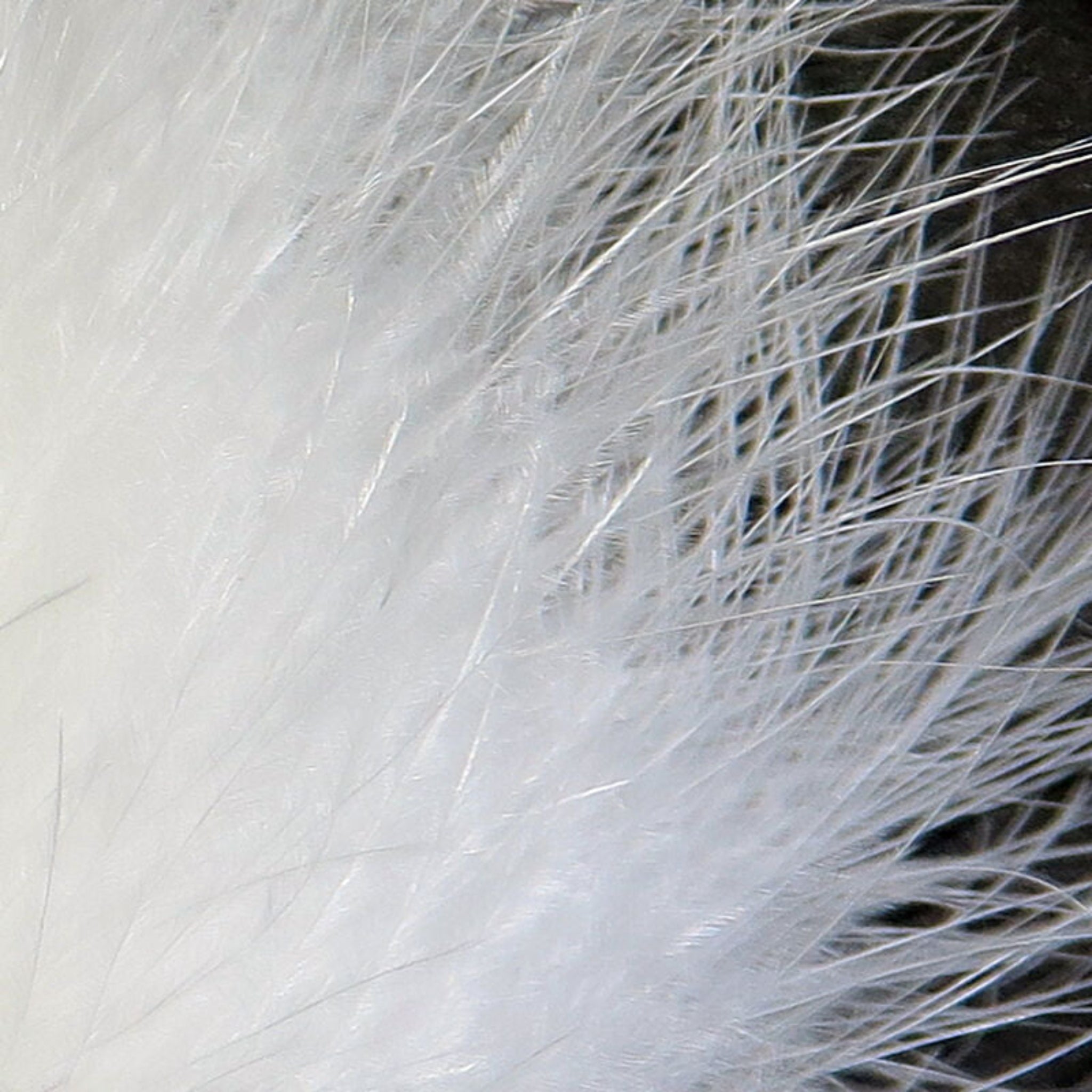 Hareline Extra Select Marabou